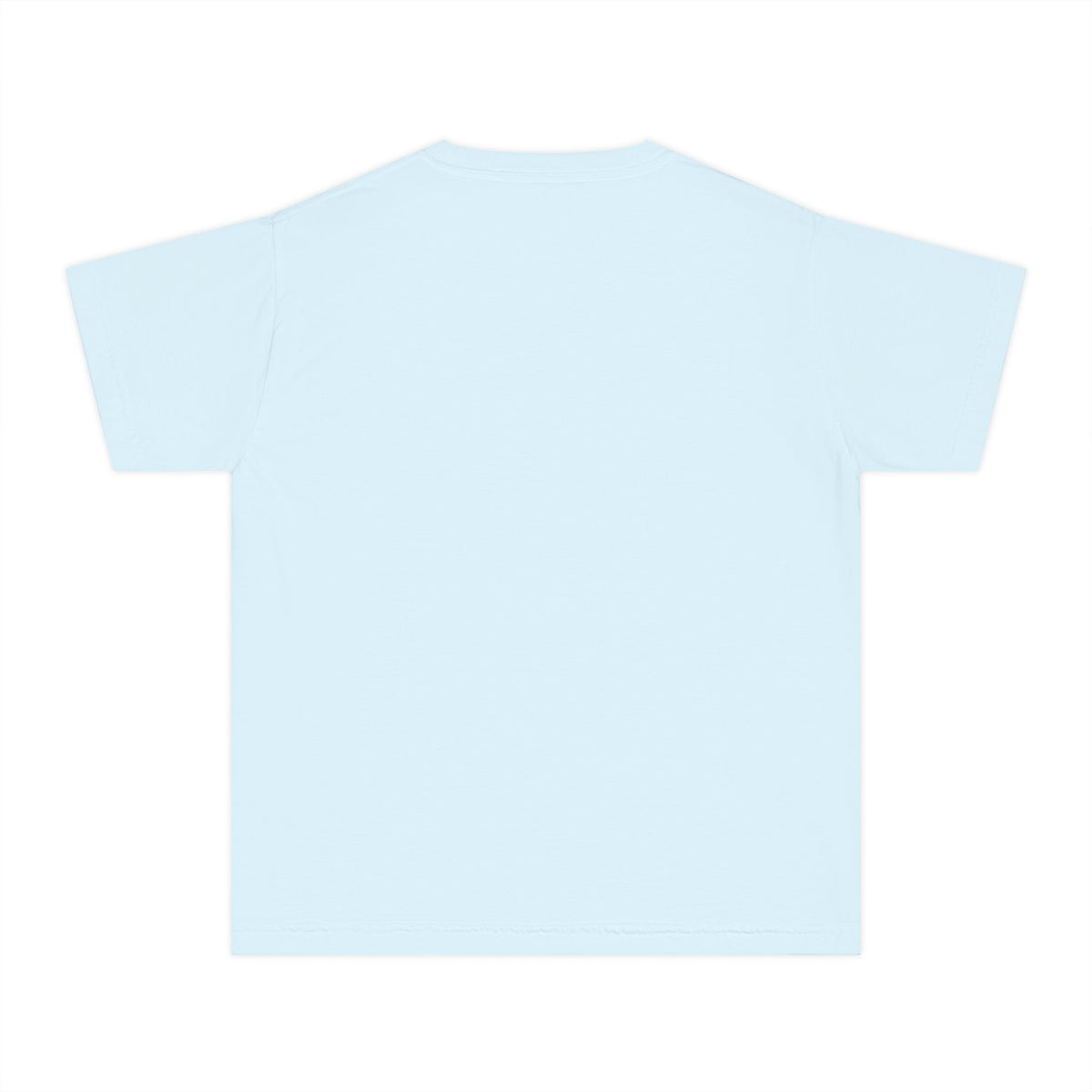 Youth Tee — Have You Seen Any Ducks?