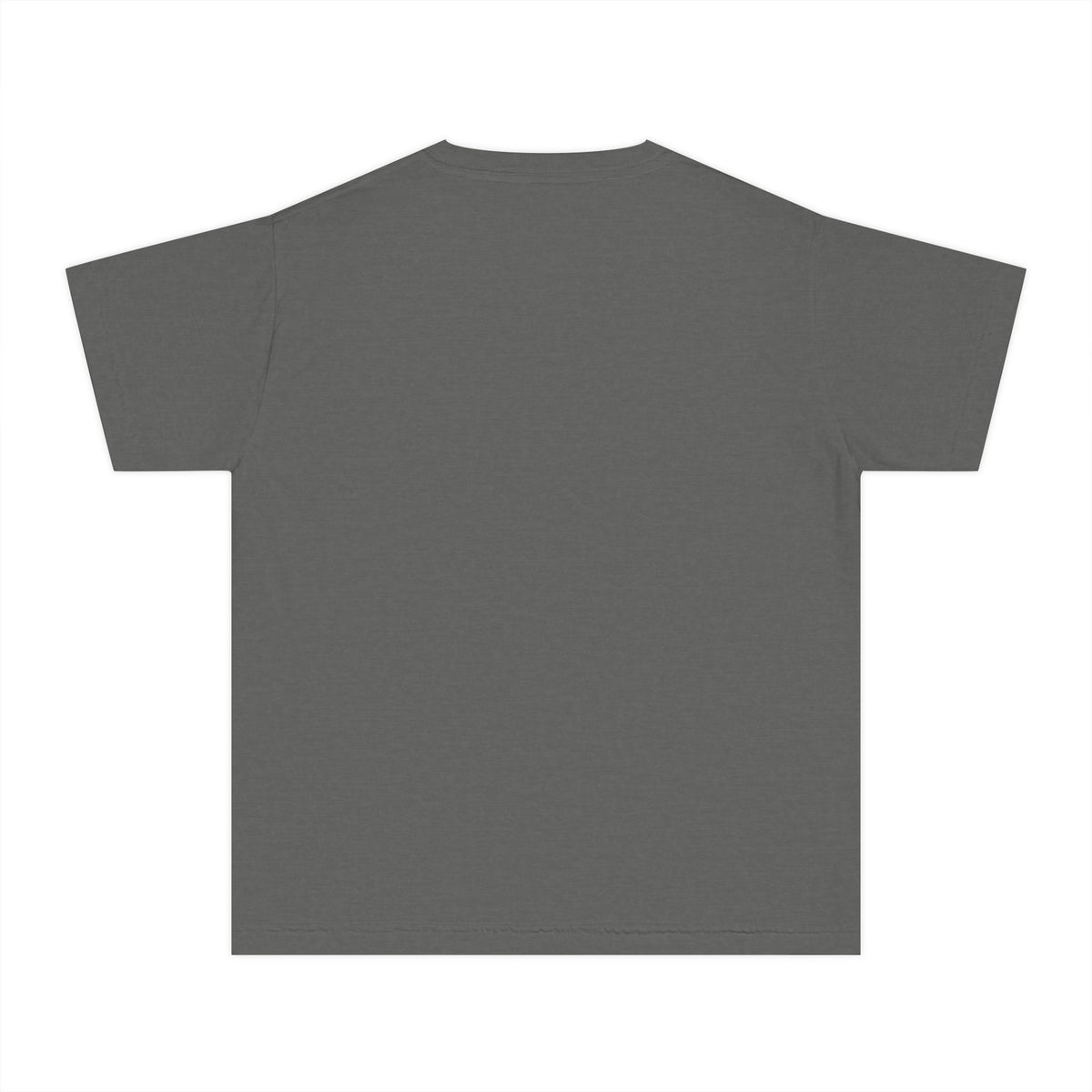 Youth Tee — Have You Seen Any Ducks?